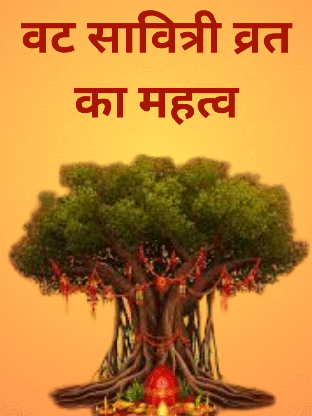 पति की लंबी उम्र और सुखी वैवाहिक जीवन के लिए रखें वट सावित्री व्रत 🌿🙏
